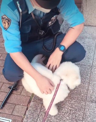 警察官が大好き！！