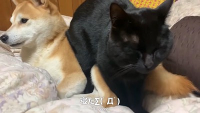 そのまま寝た!?