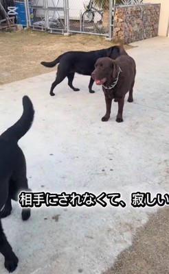 「あれ…?」