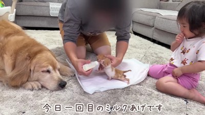 「大丈夫かな?」