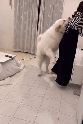 渾身のタックル!!