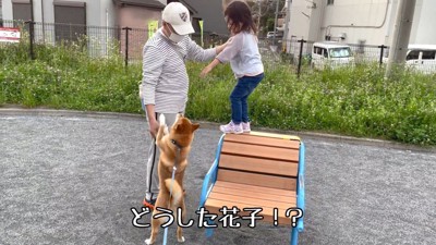 「危ないから降ろして!」