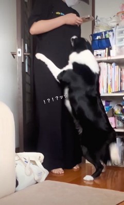 タックルを披露!!