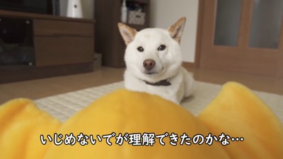 全然遊ぼうとしません！