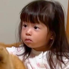 秋田犬をお迎えして、たったの4日後→娘が打ち解けすぎて…出会ったばかりと思えない『まさかの光景』が93万再生「馴染んでて草」「相棒感ｗ」