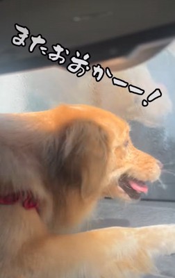「またお前か！」