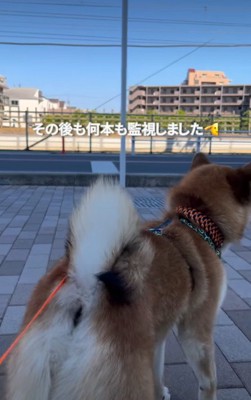 どこか誇らしげ!?
