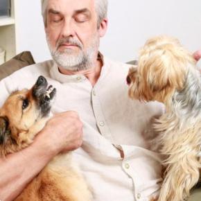 犬が人や物を『独り占めしたい』ときにする行動4つ　執着心が強すぎる場合の対処法まで