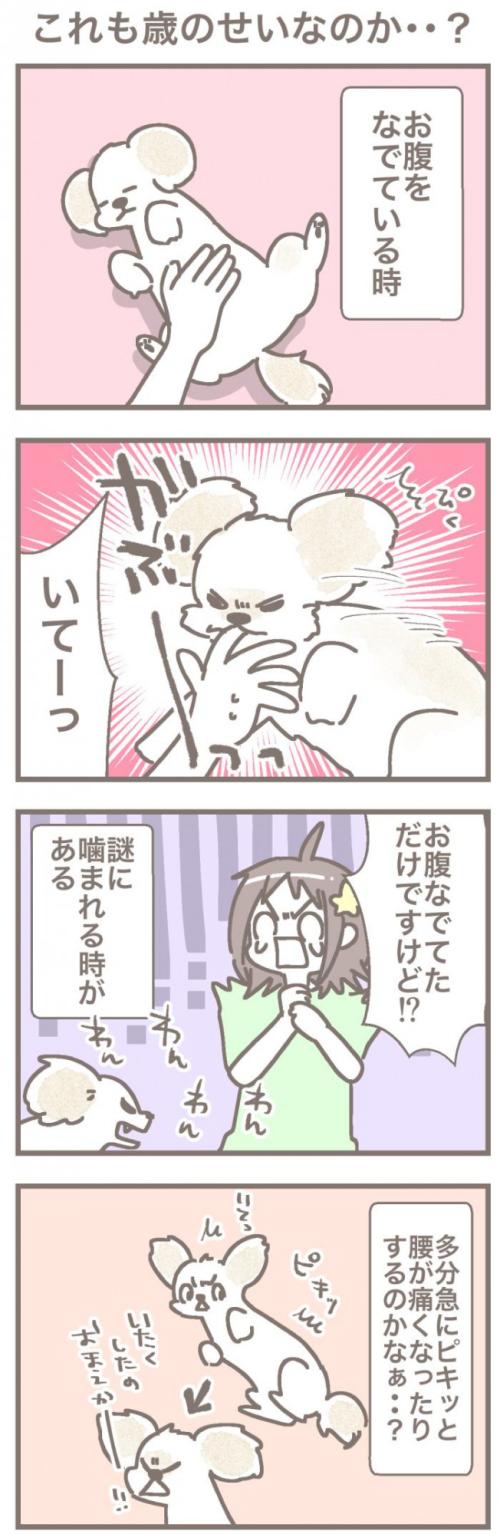 うちの王様にはどうしても抗えない【第368話】