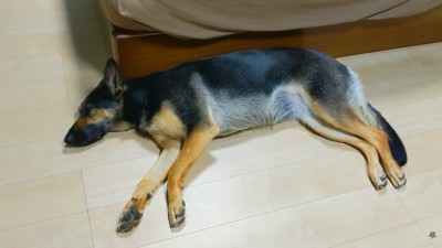まさかのスルー!
