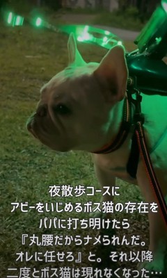大きな羽の装置！！