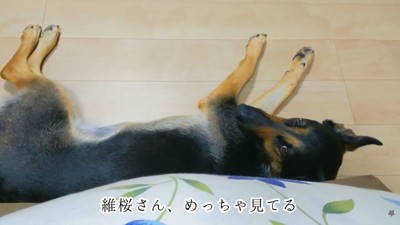 「ママももう寝るの?」