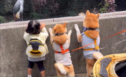動物園