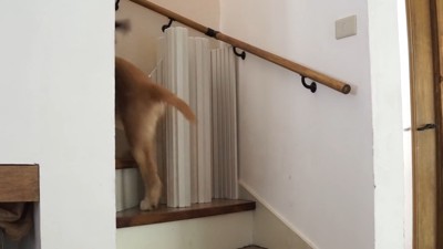 あっさり突破！