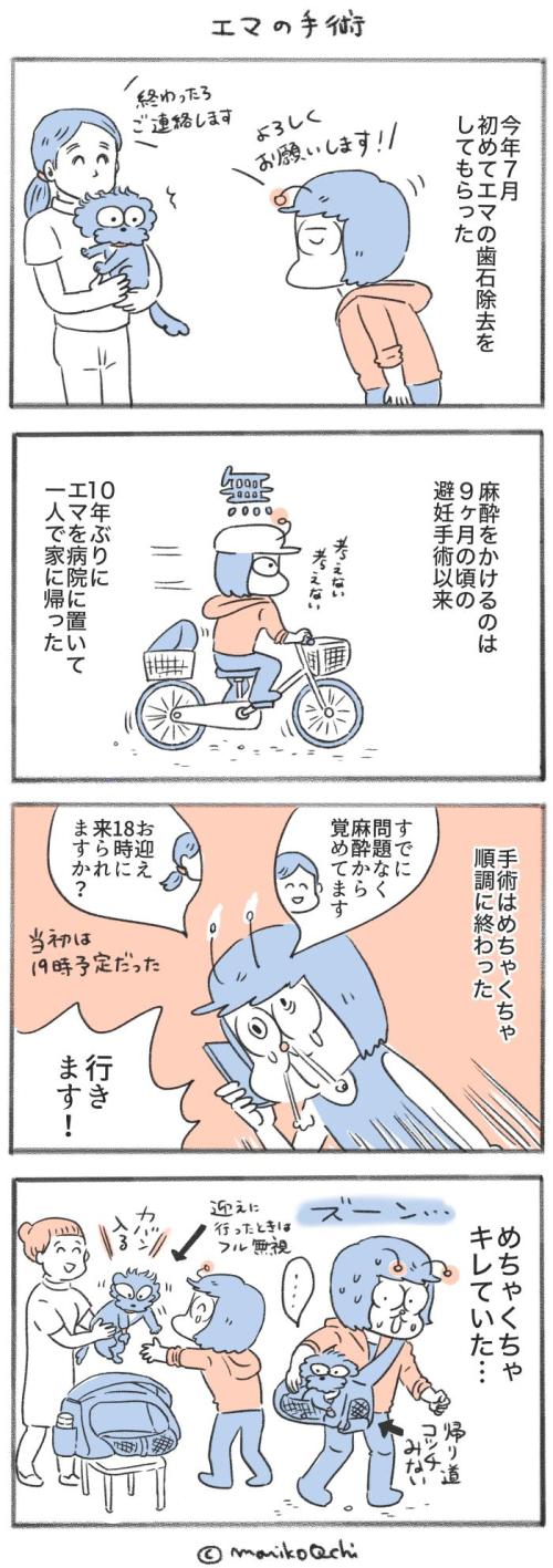 犬と暮らせば【第554話】