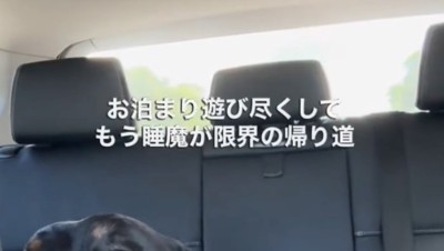ふと後部座席を見てみると…？