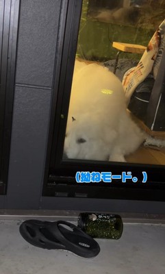 完全敗北し、拗ねちゃいました(笑)