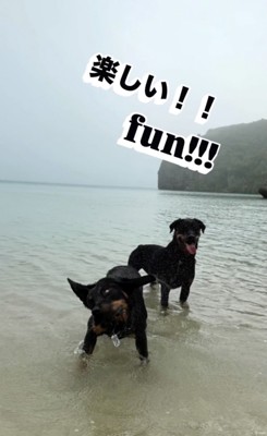 「海だーーいすき！！」