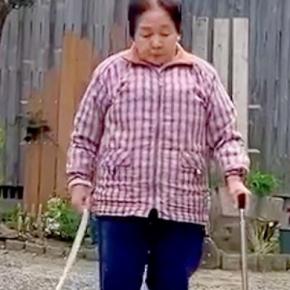 杖をつくおばあちゃんが『犬のリードを持った』結果→『引っ張らないかな』と見ていたら…感動的な光景が35万再生「泣いた」「お利口で優しい」