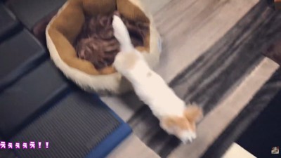 「置いて行かれるのは嫌！」