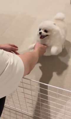「おかえりなさい！待ってたよ～」
