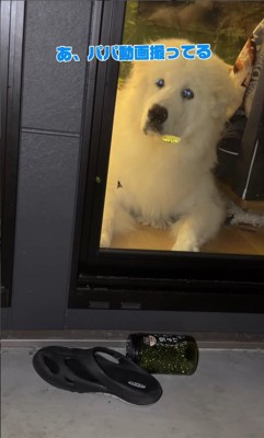 「絶対仕留めるから見てて!」