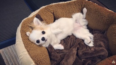 「今日は勘弁して～？」