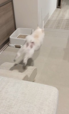 ぴょ～んっ