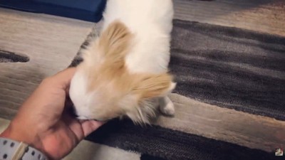 ちゃんと来てくれました！