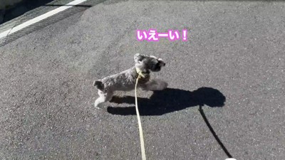 診察後はダッシュで帰宅!