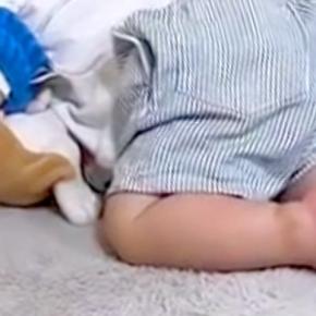 『1歳の息子が静かだな』と思い、見に行った結果→すやすやと眠っていて、枕元に…まさかの『優しい世界』が578万再生「ちょっと困ってるｗ」