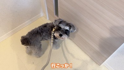 「お散歩楽しみだな~♪」