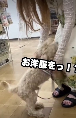 「これからよろしくね!」