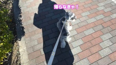 「帰る!」とUターン