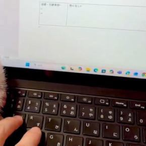『絶対に仕事をさせたくない犬』VS『作業したい飼い主』→思わず笑ってしまう『静かな攻防戦』に絶賛「べーってするのたまらん」「可愛いw」