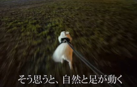 「本当にママがいるのかも!」