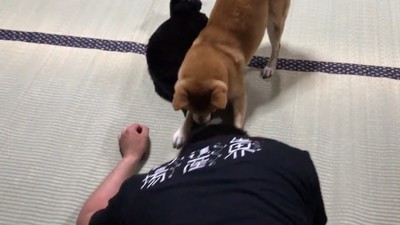 天くんを守っています!