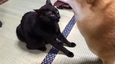 天くん、強い…!(笑)