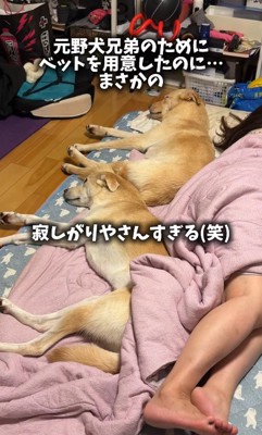 動く気ゼロ(笑)