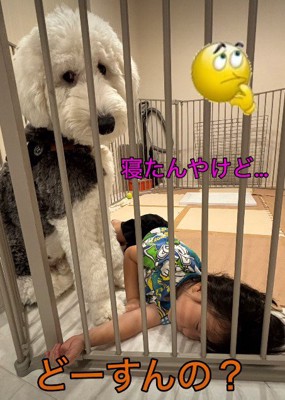 「どうしてここで寝ているの？」