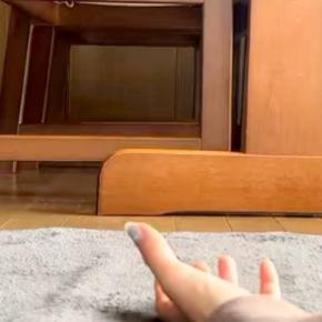 『おいで』と手を出すと、撫でてもらおうと近づいてくる犬→あまりにも『子熊すぎるビジュアル』が160万再生「もこもこ」「可愛すぎ泣きそう」