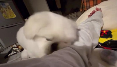 心配してくれているのかな?