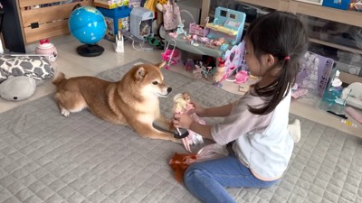 遊びに付き合ってくれて優しい!