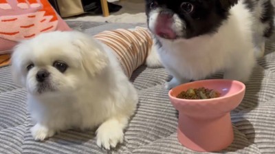 「まだ食べ終わらないのかな?」