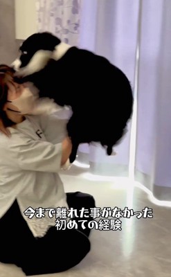 特大ジャンプでお出迎え!!