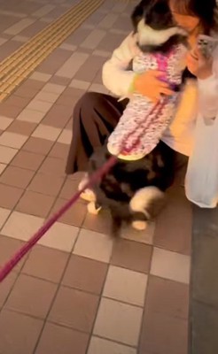 思わず尻もち!