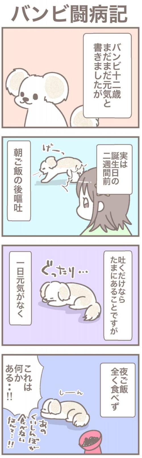 うちの王様にはどうしても抗えない【第369話】