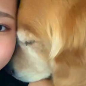 大型犬と添い寝中『なにやら視線を感じる』と思い、前を見てみた結果→別の犬が…なんとも言えない『表情』に反響「可愛すぎw」「じわじわくる」