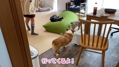 お見送りする気なし？