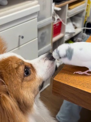 まるで打ち合わせ！？